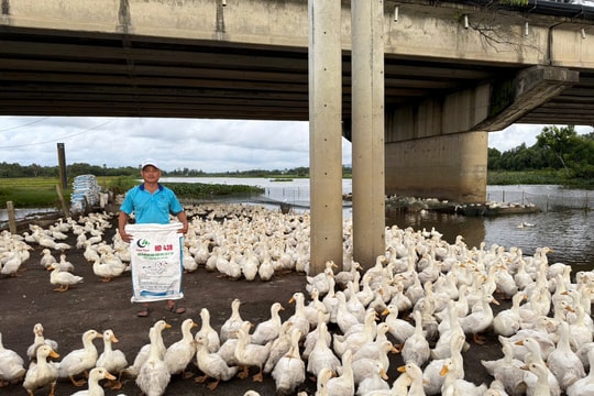 Thi đua sản xuất, kinh doanh giỏi