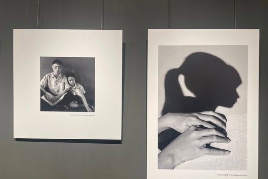 Trần Thế Phong: 25 năm kể chuyện bằng nhiếp ảnh