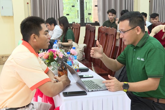 Liên kết đào tạo “Hạt giống tài năng” khóa 6 cho học sinh, sinh viên