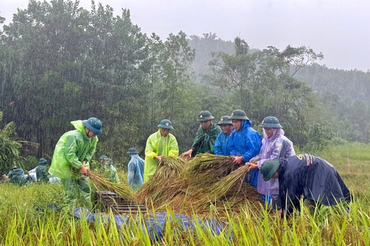 Vì nhau, san sớt nhọc nhằn