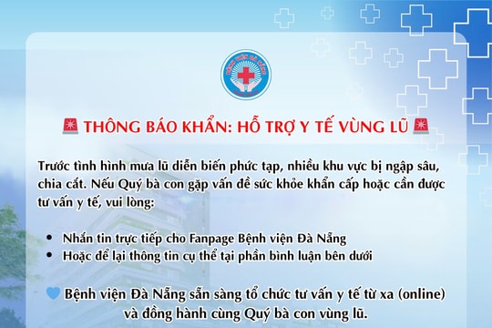 Bệnh viện Đà Nẵng triển khai tư vấn y tế từ xa cho người dân vùng lũ