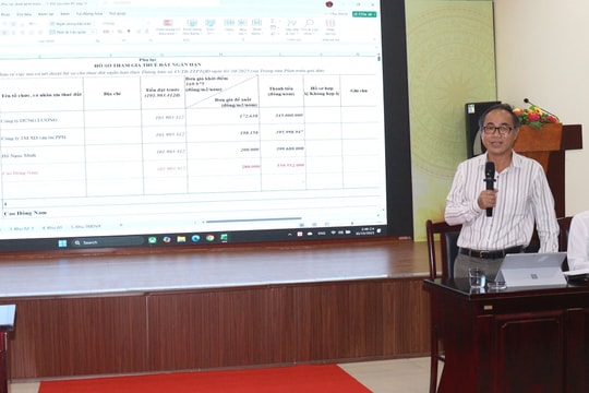 Đà Nẵng cho thuê tạm các khu, lô đất công ngắn hạn