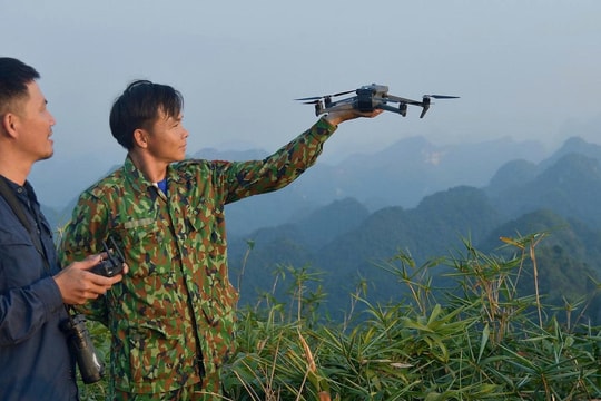 Application of smart forest management technologies