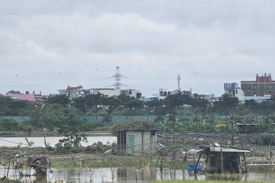 Sớm khôi phục hoạt động sản xuất nông nghiệp