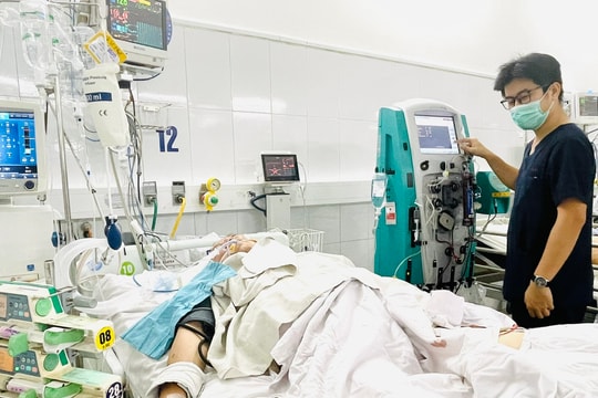 Nhiều trường hợp nhập viện vì rắn cắn