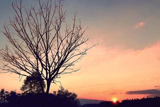 Thương nhánh sông quê mình