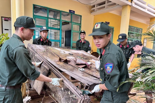 Tuổi trẻ Đà Nẵng ra quân khắc phục hậu quả mưa lũ
