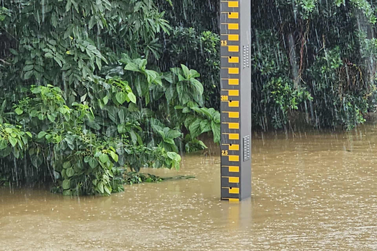 Phát triển mạng lưới khí tượng thủy văn chuyên dùng và xây dựng cơ sở dữ liệu