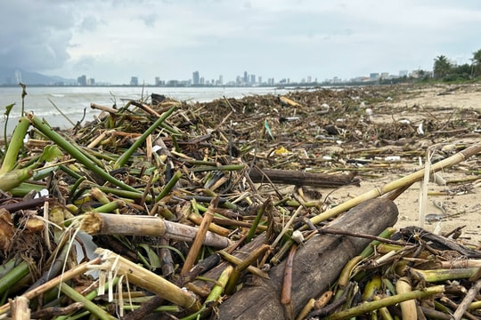 Nỗ lực xử lý rác phủ kín bờ biển Nguyễn Tất Thành sau mưa lũ
