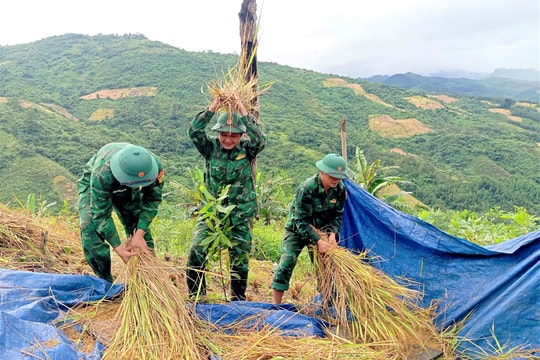 Lực lượng vũ trang và thanh niên miền núi giúp người dân thu hoạch lúa