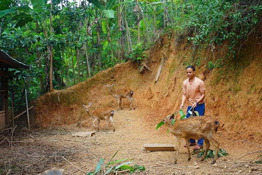 Góp sức vì quê hương