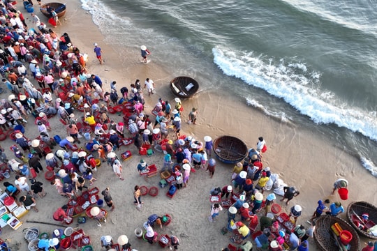 Cấp thiết hỗ trợ ngư dân chuyển đổi nghề