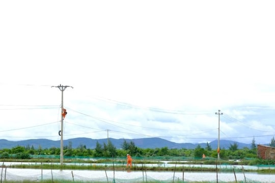 PC Đà Nẵng chủ động triển khai đồng bộ các biện pháp ứng phó với bão số 13 (Kalmaegi)