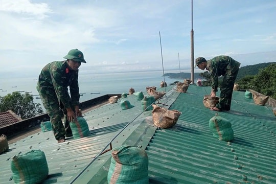 Đà Nẵng triển khai phương án ứng phó với bão số 13