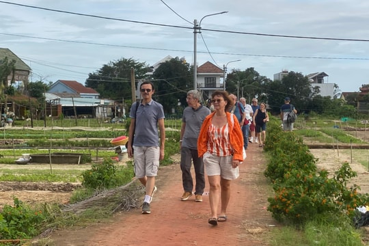 Hoi An’s Tra Que vegetable village bustling with foreign tourists after floods