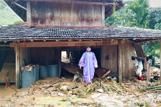 Họa không báo trước