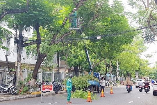 Chủ động phòng chống bão từ sớm