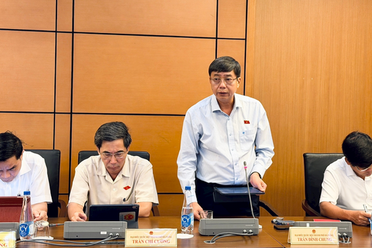 Đại biểu Quốc hội thành phố Đà Nẵng thảo luận các dự án luật về xây dựng, môi trường