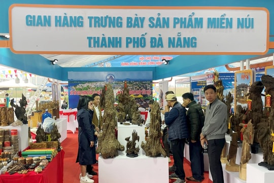 Quảng bá sản phẩm miền núi Đà Nẵng tại thị trường Đồng bằng sông Hồng
