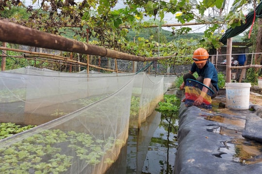 Thúc đẩy sản xuất sạch, nông nghiệp xanh