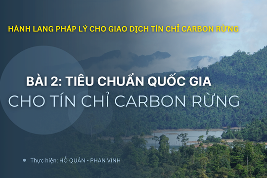 Hành lang pháp lý cho giao dịch tín chỉ carbon rừng - Bài 2: Tiêu chuẩn quốc gia cho tín chỉ carbon rừng