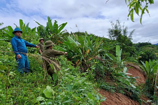 Phát hiện vết nứt trên núi, xã Nam Giang di dời khẩn cấp 4 hộ dân