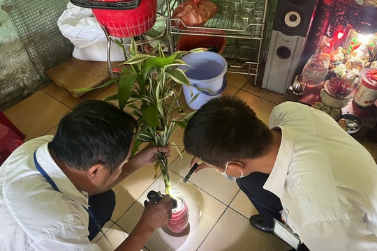 Triển khai nhiều biện pháp phòng chống sốt xuất huyết