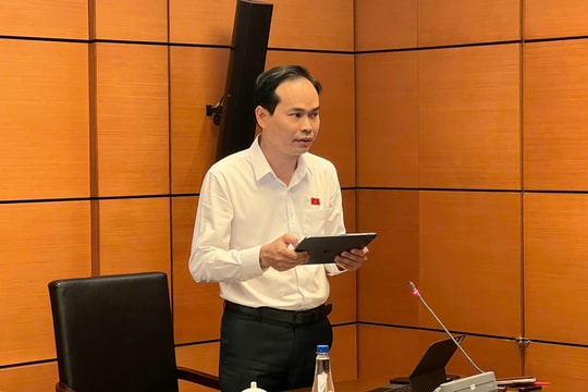 Đoàn đại biểu Quốc hội thành phố Đà Nẵng thảo luận các nội dung về quy hoạch đô thị và nông thôn