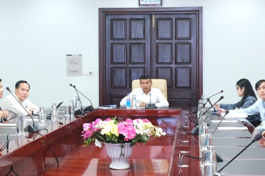 Da Nang promotes cooperation with UK-based Revolut Group