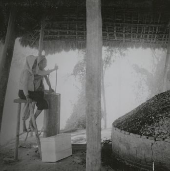 Nghề nung vôi xưa ở Hội An