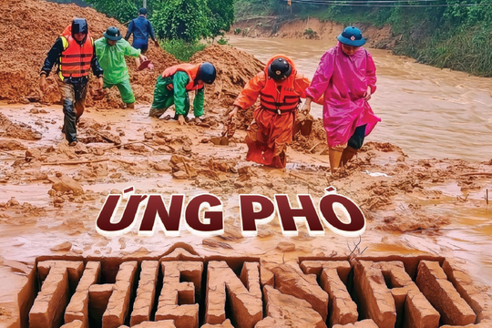 Ứng phó thiên tai