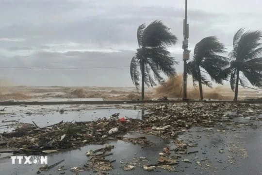 Đề nghị các tỉnh ven biển từ Quảng Ninh đến Đắk Lắk chủ động ứng phó bão số 14