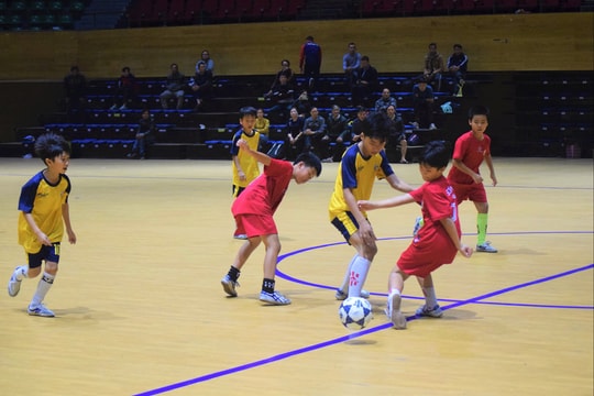 Tổ chức Giải thể thao học sinh thành phố Đà Nẵng năm học 2025 - 2026