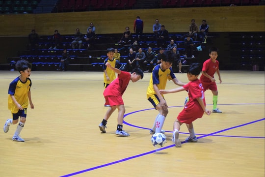 Đà Nẵng dự Lễ hội bóng đá Big Bird năm 2025 tại Hàn Quốc