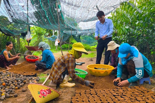 Xây dựng chi, tổ hội nghề nghiệp gắn với phát triển kinh tế bền vững