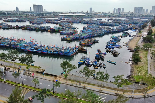 Diện mạo mới cảng cá Thọ Quang sau nâng cấp, mở rộng