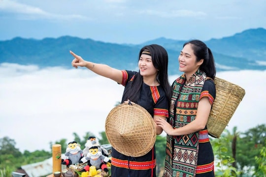 Phát triển cân bằng giữa hai vùng đông - tây - Kỳ 3: “Mỏ vàng” dưới tán rừng