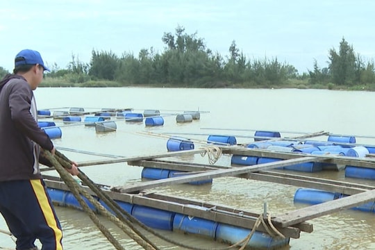 Triển khai công tác hỗ trợ nông dân phục hồi sản xuất sau lũ