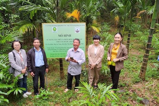 Đánh giá hiệu quả giá thể hữu cơ trên cây trồng