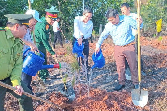 Ra quân trồng cây vì một Đà Nẵng xanh