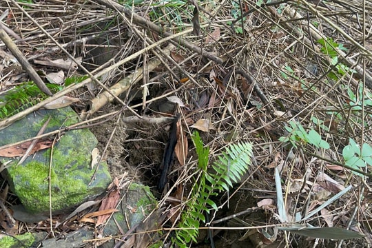 Tuyến ĐH8 qua xã Trà Đốc xuất hiện vết nứt lớn trên sườn đồi