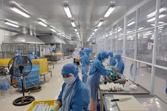 Da Nang seafood exporters chart new markets, strengthen global presence