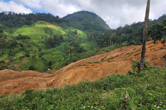 Sạt lở quả đồi tại xã Hùng Sơn: Nhiều nhà rẫy bị vùi lấp, chưa liên lạc được một số người dân