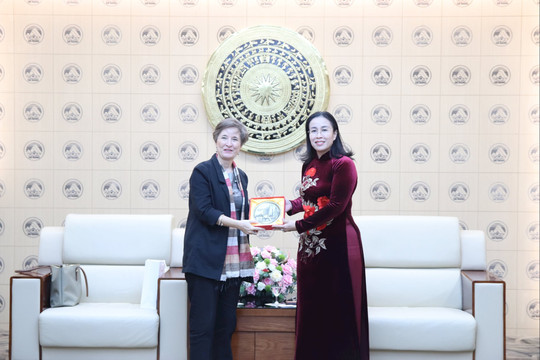 Da Nang seeks to strengthen investment ties with Polish businesses