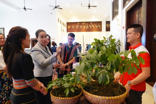 Xúc tiến, quảng bá du lịch Đà Nẵng thành điểm đến quốc tế