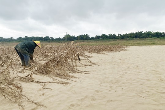 Xã Gò Nổi đề xuất tận thu nguồn cát bồi lấp sau lũ lụt