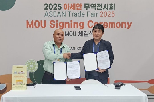 Da Nang businesses promote trade in S. Korea, sign many MoUs