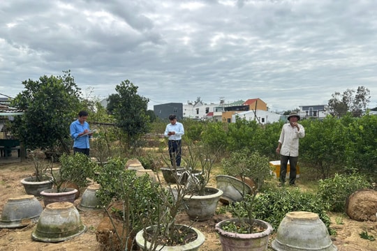 Giúp nông dân vực dậy sản xuất sau mưa lũ