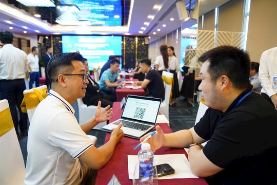 Da Nang speeds up venture capital, sustainable startup ecosystem