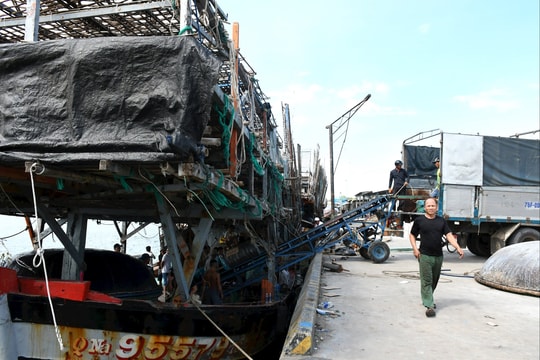 Hiện đại hóa nghề khai thác hải sản